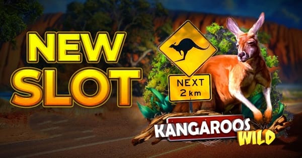 #澳大利亚博彩 市场的反逻辑：一年赌输掉314亿的不是年轻人，而是他们